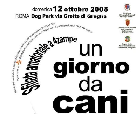 Quintomondo presenta: Un giorno da cani