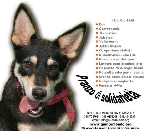 Quintomondo presenta: Un giorno da cani