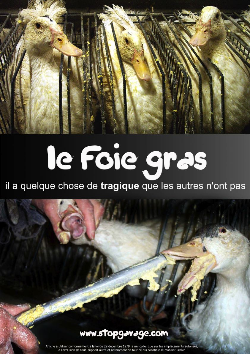 fois gras draft