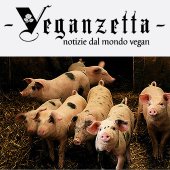 Clicca qui per aprire la veganzetta